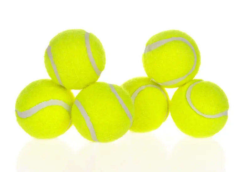INELECTRON ™ - Dog Pet Automatic Interactive Ball Launcher - dog play Inelectron Store