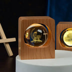 Beech Crystal Ball Night Light with 3D Laser Engraving of Elk and Jellyfish, USB Dimmable Lamp for Bedroom Decoration